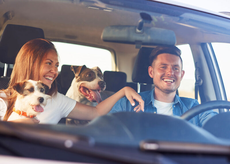 Happy couple with two dogs traveling by car