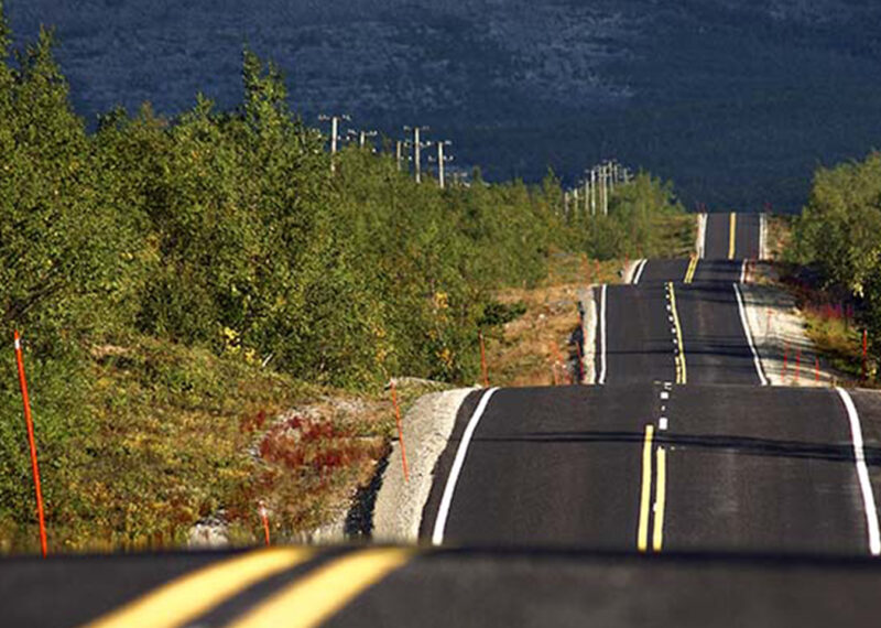 A view of bumpy asphalt road between green trees