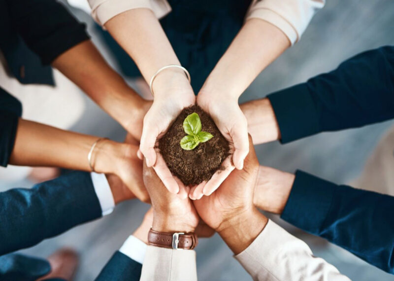circle of hands holding soil with a budding tree representing sustainability