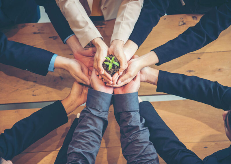 Eco company partners holding plant together